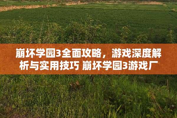 崩坏学园3全面攻略，游戏深度解析与实用技巧 崩坏学园3游戏厂商攻略