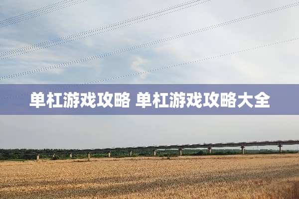 单杠游戏攻略 单杠游戏攻略大全