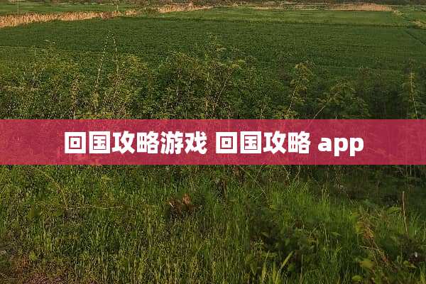 回国攻略游戏 回国攻略 app