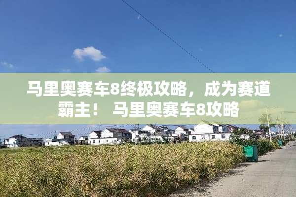 马里奥赛车8终极攻略，成为赛道霸主！ 马里奥赛车8攻略