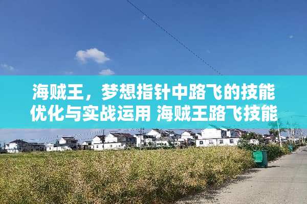海贼王，梦想指针中路飞的技能优化与实战运用 海贼王路飞技能