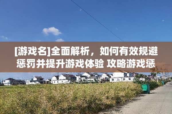 [游戏名]全面解析，如何有效规避惩罚并提升游戏体验 攻略游戏惩罚