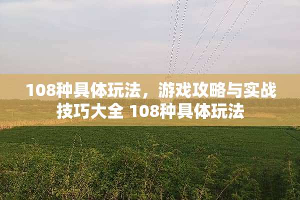 108种具体玩法，游戏攻略与实战技巧大全 108种具体玩法