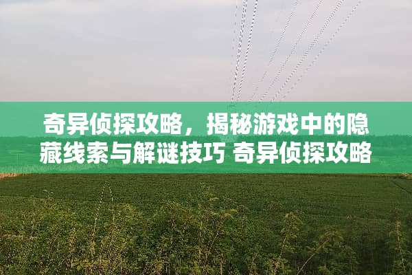 奇异侦探攻略，揭秘游戏中的隐藏线索与解谜技巧 奇异侦探攻略