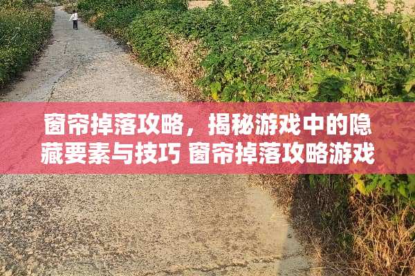 窗帘掉落攻略，揭秘游戏中的隐藏要素与技巧 窗帘掉落攻略游戏