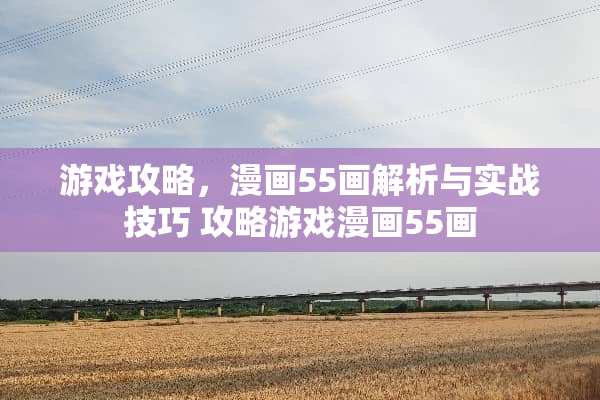 游戏攻略，漫画55画解析与实战技巧 攻略游戏漫画55画