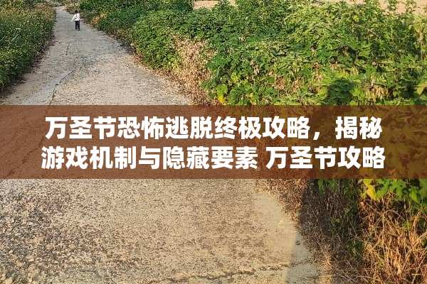 万圣节恐怖逃脱终极攻略，揭秘游戏机制与隐藏要素 万圣节攻略游戏