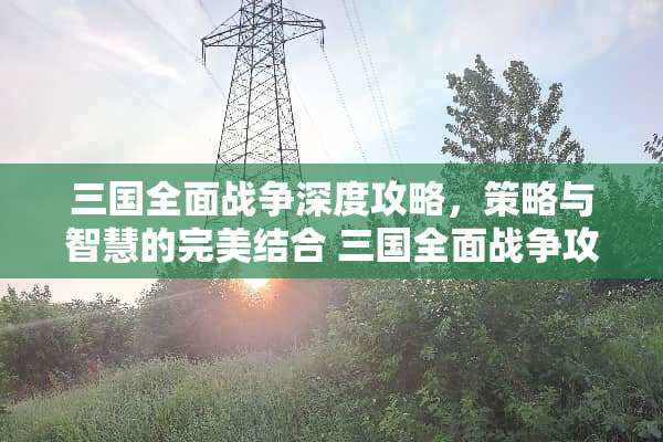 三国全面战争深度攻略，策略与智慧的完美结合 三国全面战争攻略