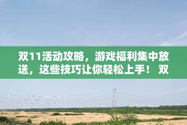 双11活动攻略，游戏福利集中放送，这些技巧让你轻松上手！ 双11活动攻略