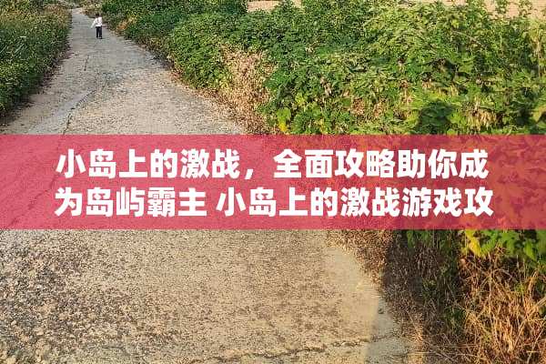 小岛上的激战，全面攻略助你成为岛屿霸主 小岛上的激战游戏攻略