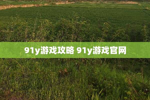 91y游戏攻略 91y游戏官网