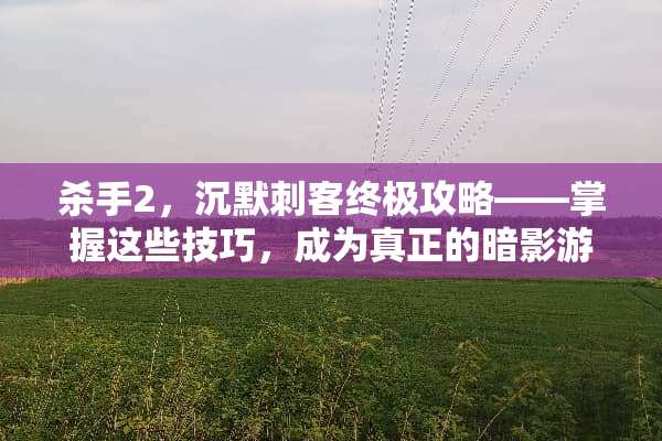 **2，沉默刺客终极攻略——掌握这些技巧，成为真正的暗影游侠 **2沉默刺客攻略