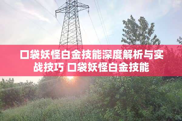 口袋妖怪白金技能深度解析与实战技巧 口袋妖怪白金技能