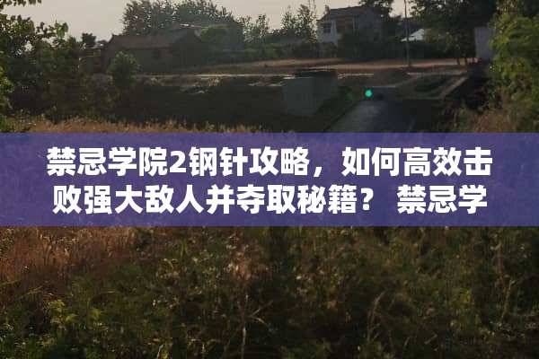 禁忌学院2钢针攻略，如何高效击败强大敌人并夺取秘籍？ 禁忌学院2游戏攻略钢针