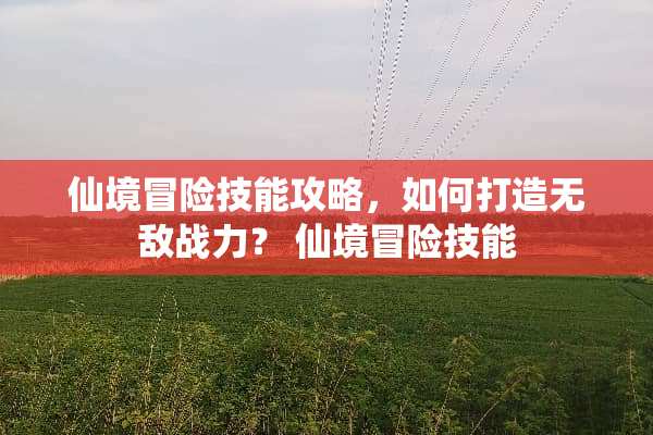 仙境冒险技能攻略，如何打造无敌战力？ 仙境冒险技能