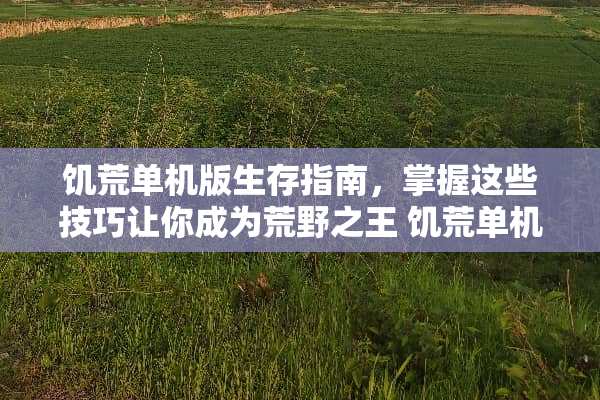 饥荒单机版生存指南，掌握这些技巧让你成为荒野之王 饥荒单机版攻略