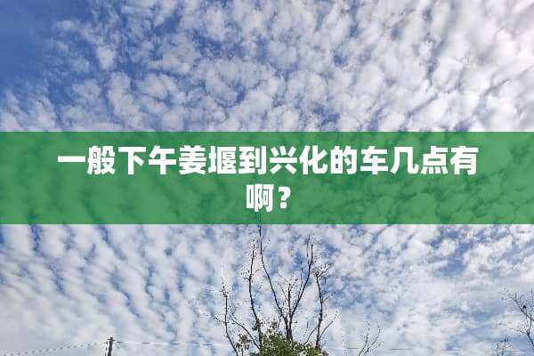 一般下午姜堰到兴化的车几点有啊？