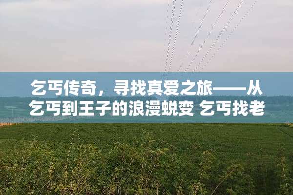 乞丐传奇，寻找真爱之旅——从乞丐到王子的浪漫蜕变 乞丐找老婆攻略