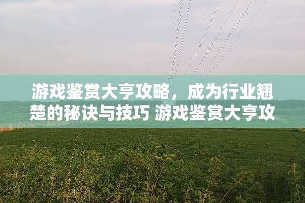 游戏鉴赏大亨攻略，成为行业翘楚的秘诀与技巧 游戏鉴赏大亨攻略
