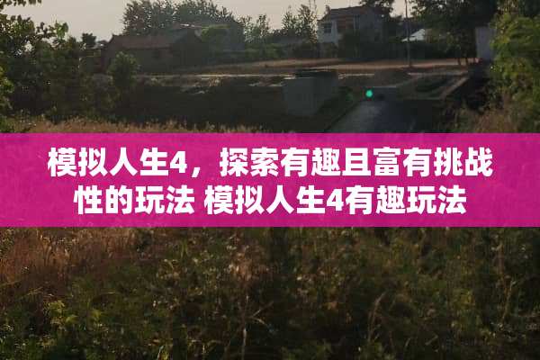 模拟人生4，探索有趣且富有挑战性的玩法 模拟人生4有趣玩法