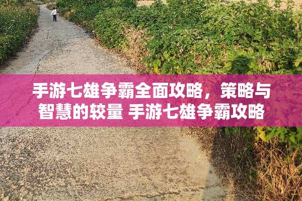 手游七雄争霸全面攻略，策略与智慧的较量 手游七雄争霸攻略