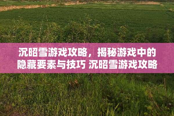 沉昭雪游戏攻略，揭秘游戏中的隐藏要素与技巧 沉昭雪游戏攻略