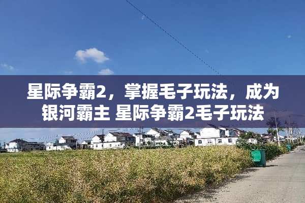星际争霸2，掌握毛子玩法，成为银河霸主 星际争霸2毛子玩法