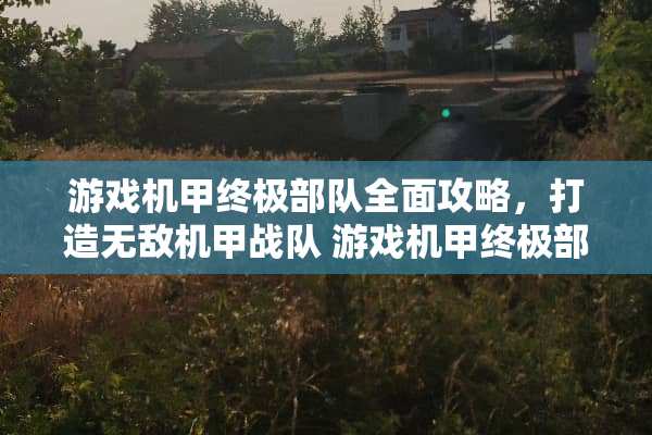 游戏机甲终极**全面攻略，打造无敌机甲战队 游戏机甲终极**攻略