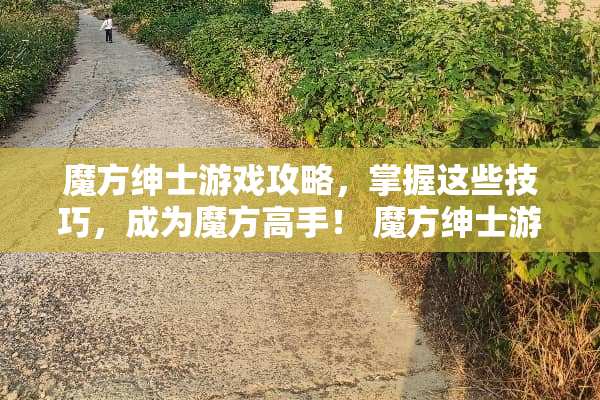 魔方绅士游戏攻略，掌握这些技巧，成为魔方高手！ 魔方绅士游戏攻略