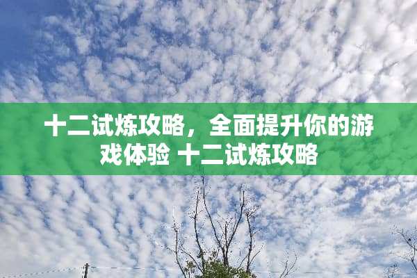十二试炼攻略，全面提升你的游戏体验 十二试炼攻略
