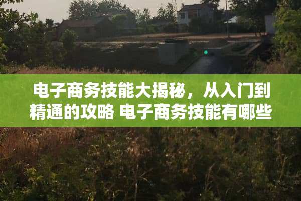 电子商务技能大揭秘，从入门到精通的攻略 电子商务技能有哪些