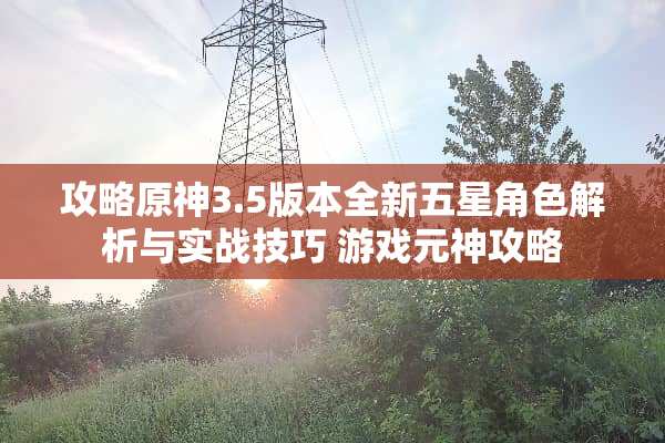 攻略原神3.5版本全新五星角色解析与实战技巧 游戏元神攻略
