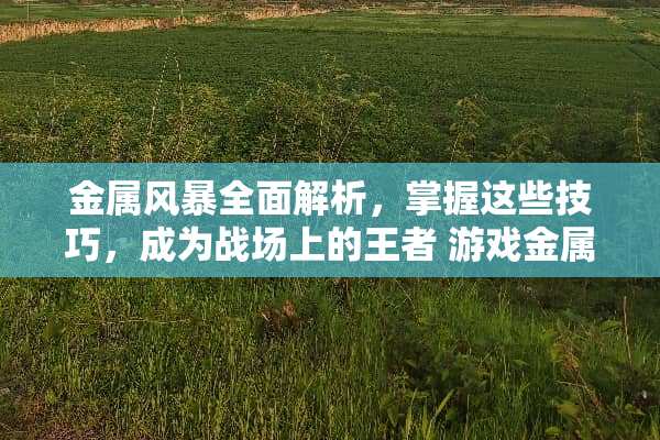 金属风暴全面解析，掌握这些技巧，成为战场上的王者 游戏金属风暴攻略