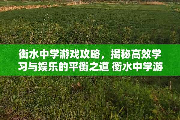 衡水中学游戏攻略，揭秘高效学习与娱乐的平衡之道 衡水中学游戏攻略