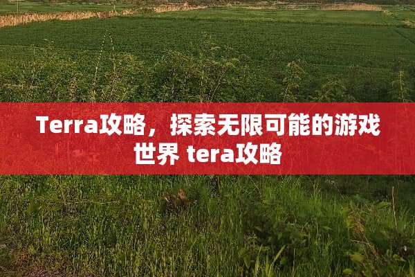 Terra攻略，探索无限可能的游戏世界 tera攻略
