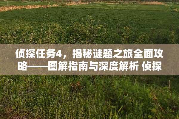 侦探任务4，揭秘谜题之旅全面攻略——图解指南与深度解析 侦探任务4游戏攻略图