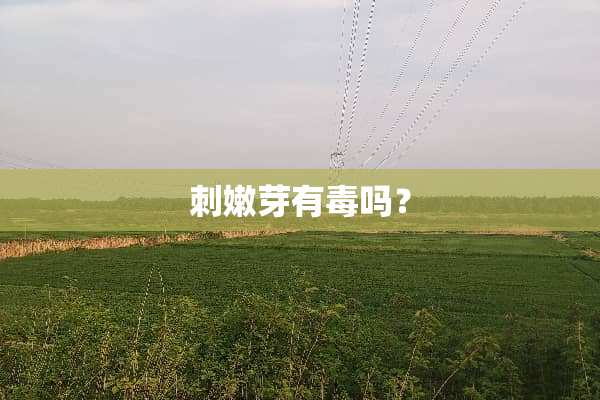 刺嫩芽有毒吗？