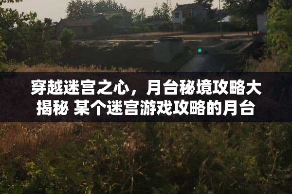 穿越迷宫之心，月台秘境攻略大揭秘 某个迷宫游戏攻略的月台