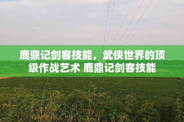 鹿鼎记剑客技能，武侠世界的**作战艺术 鹿鼎记剑客技能