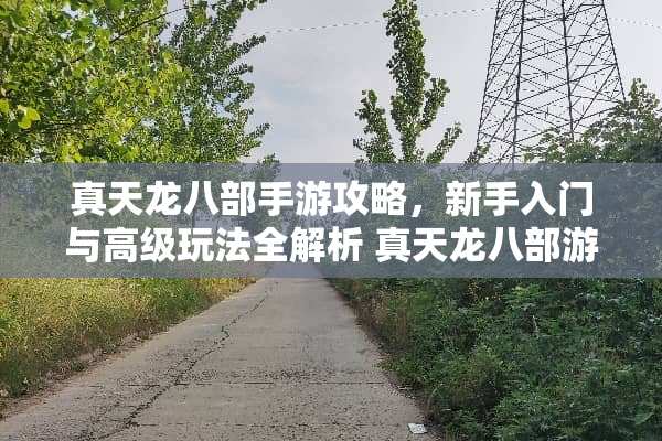 真天龙八部手游攻略，新手入门与高级玩法全解析 真天龙八部游戏攻略