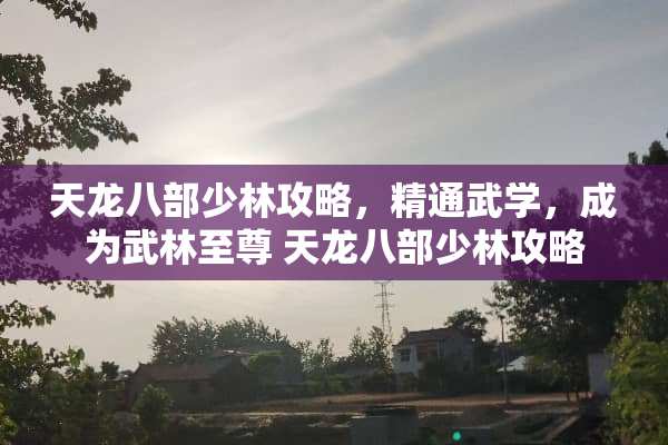 天龙八部少林攻略，精通武学，成为武林至尊 天龙八部少林攻略