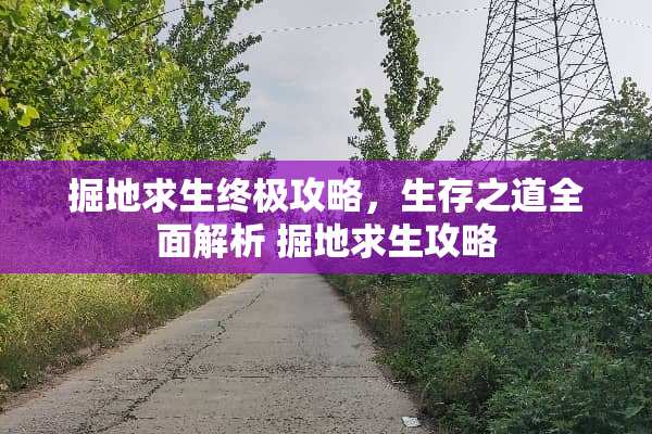掘地求生终极攻略，生存之道全面解析 掘地求生攻略