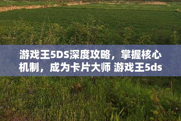 游戏王5DS深度攻略，掌握核心机制，成为卡片大师 游戏王5ds攻略