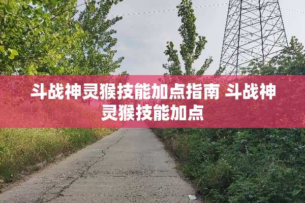 斗战神灵猴技能加点指南 斗战神灵猴技能加点