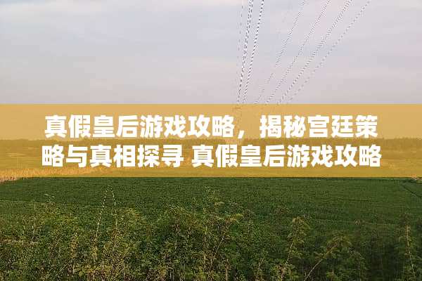 真假皇后游戏攻略，揭秘宫廷策略与**探寻 真假皇后游戏攻略