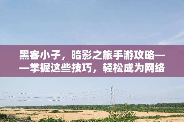 黑客小子，暗影之旅手游攻略——掌握这些技巧，轻松成为网络世界的霸主 黑客小游戏手游攻略