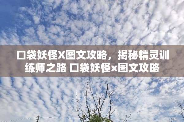口袋妖怪X图文攻略，揭秘精灵训练师之路 口袋妖怪x图文攻略