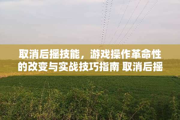 取消后摇技能，游戏操作**性的改变与实战技巧指南 取消后摇技能
