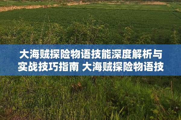 大海贼探险物语技能深度解析与实战技巧指南 大海贼探险物语技能