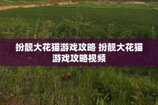 扮靓大花猫游戏攻略 扮靓大花猫游戏攻略视频